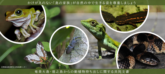奄美野生生物保護センターる共同文書