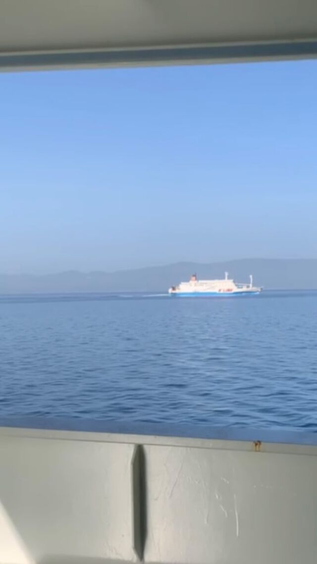 A''LINE |マルエーフェリー株式会社・奄美海運株式会社 A''LINE |マルエーフェリー株式会社・奄美海運株式会社